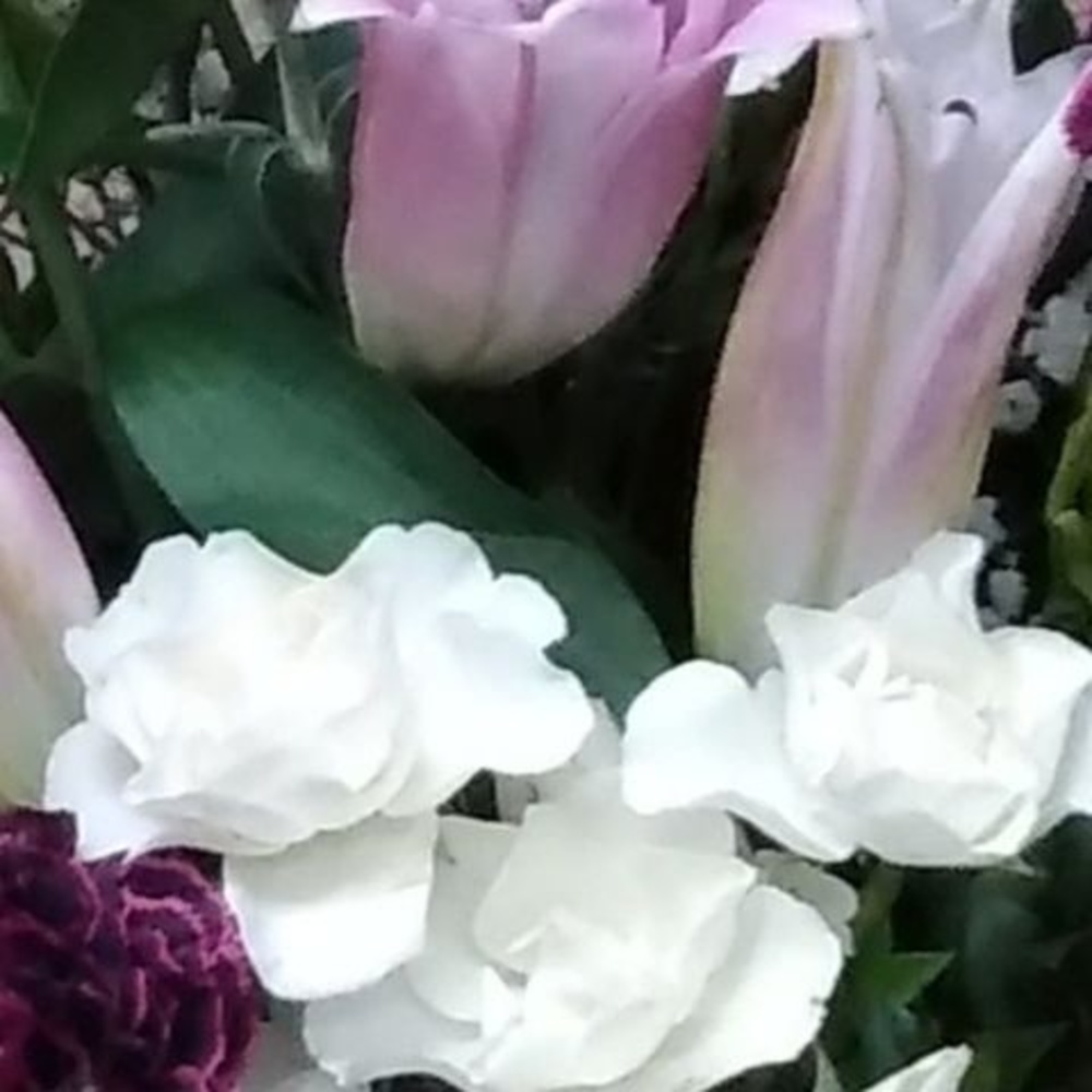 Meet your Posher, Gina